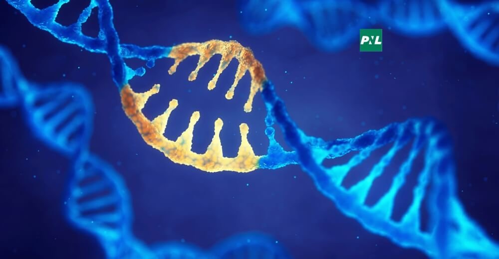 Gene Therapy Turns Rare Diseases from Death Sentences into Curable Conditions